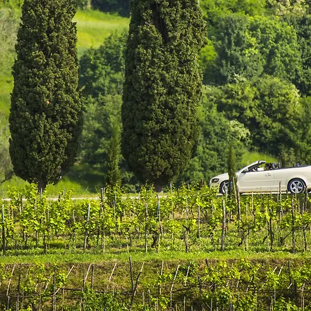 Bed & Breakfast Palazzo Angelica Adults Only 4*