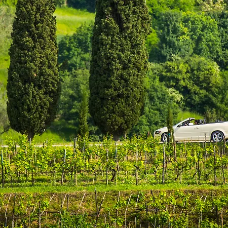 Palazzo Angelica Adults Only 4* Oprtalj